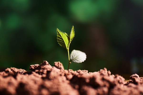 精準溯源！南京積極探索農業(yè)面源污染防治新模式