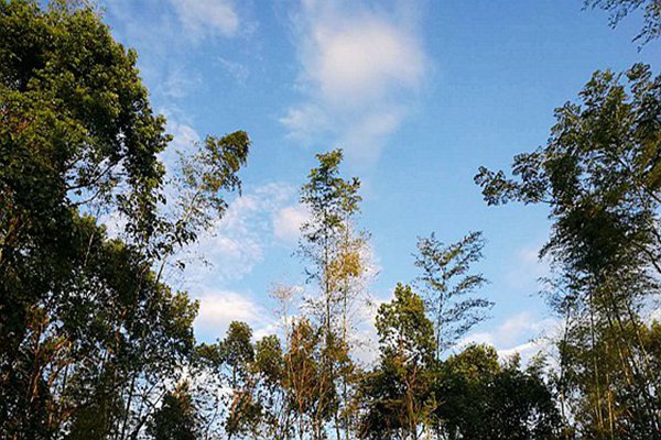 包河區生態(tài)環(huán)境分局：藍天不是等出來(lái)的，是干出來(lái)的