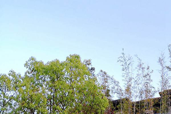 廢氣治理＋綠色運輸！安徽省第三生態(tài)環(huán)境保護督察組調研阜陽(yáng)空氣質(zhì)量提升攻堅 