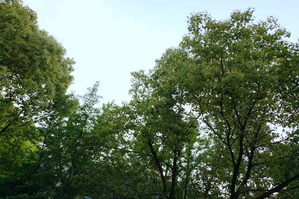 “統籌治理+精準監管” 汽開(kāi)區打響臭氧污染防控戰