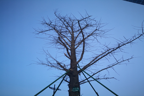 提“氣”質(zhì)丨打造2.0版本，實(shí)現“大數據”精準治污