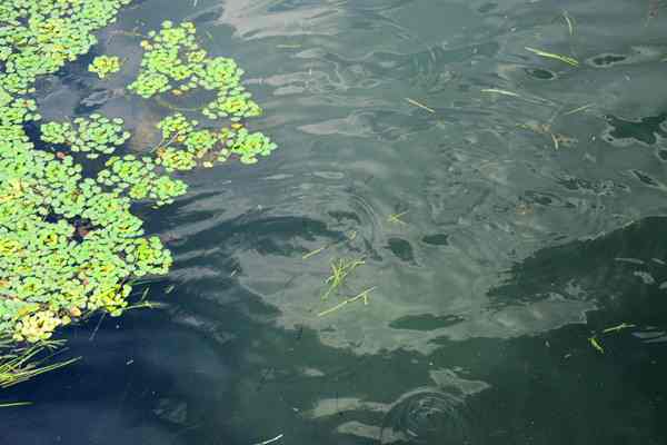 常州市召開(kāi)全市污染防治攻堅推進(jìn)會(huì ) 