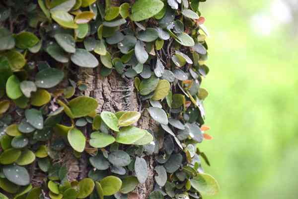 全國已建成“兩級、三類(lèi)、一清單”的生態(tài)環(huán)境分區管控體系 