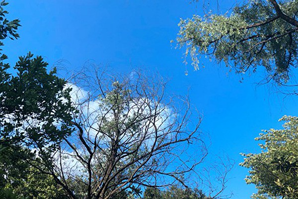 烏魯木齊道路積塵治理有妙招：動(dòng)態(tài)監測 聯(lián)合督導，助力空氣質(zhì)量改善