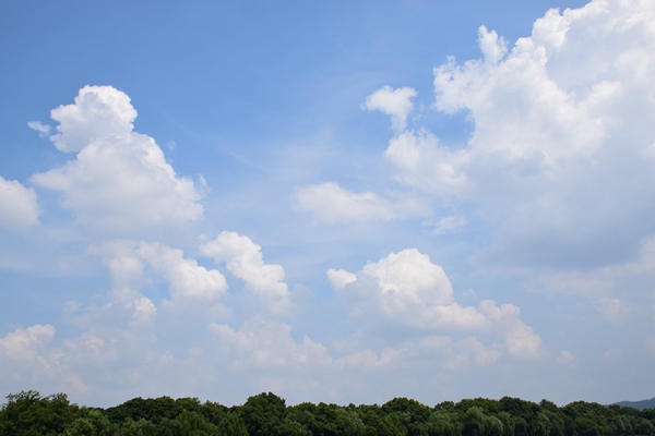 昌吉市大氣污染防治“提級管理”見(jiàn)實(shí)效 藍天保衛戰再添新動(dòng)能